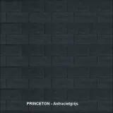 Miniatuur van Betonscherm 'Princeton' - basiskleur grijsantraciet