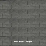 Miniatuur van Betonscherm 'Princeton' - basiskleur grijsantraciet