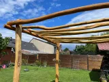 Miniatuur van Robinia pergola ‘Gamay’ - 3 x 3 m