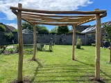Miniatuur van Robinia pergola ‘Gamay’ - 3 x 3 m