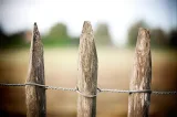 Miniatuur van Kastanje omheining 180 cm hoog - gekloven
