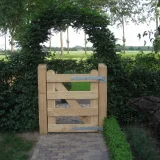 Miniatuur van Robinia landhek 'Nature'  120 cm hoog