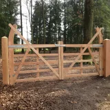 Miniatuur van Engelse boogpoort - Lariks / Douglas