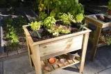 Miniatuur van Grenen moestuintafel