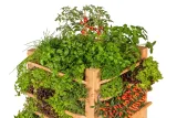 Miniatuur van Multi planten/kruidenbak Lariks