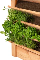 Miniatuur van Multi planten/kruidenbak Lariks