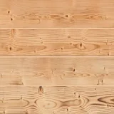 Miniatuur van Durasid Foresta Planchet - Siberian Larch