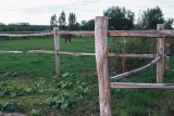 Miniatuur van Robinia paardenomheining 'PostandRail' - gekloven