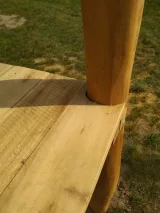Miniatuur van Robinia plank - 2,5 cm dik - geschuurd