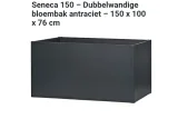 Miniatuur van Bloembak Seneca