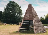Miniatuur van Wilgentakken om zelf vlechten