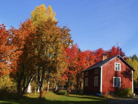 Hoe creëer je een gezellige herfsttuin?