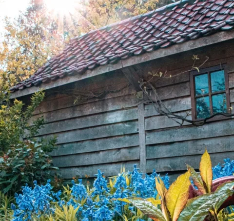 Wat is cottagecore?