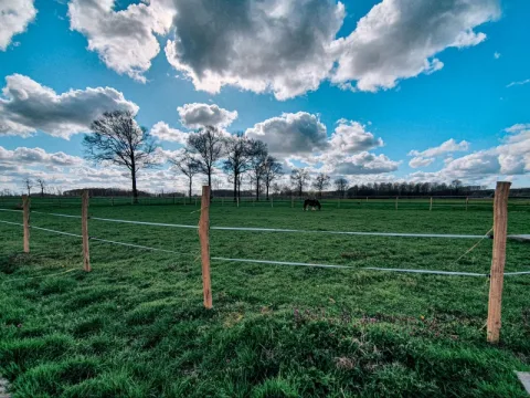 Welke weidepaal kies je het best voor jouw omheining?