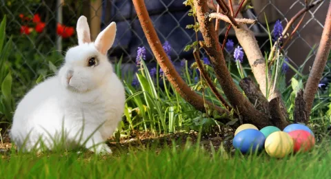 5 leuke klusjes in de tuin tijdens de paasvakantie