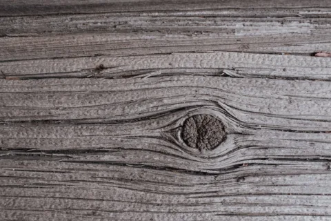 Noesten in je hout: kan het kwaad?