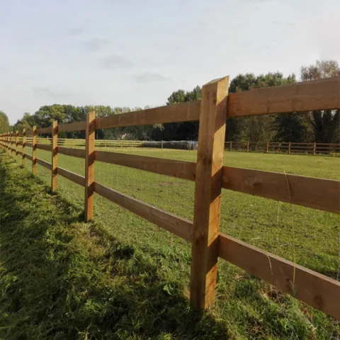 Grenen paardenomheining - rechthoek