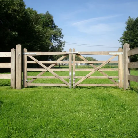Tropisch hardhout