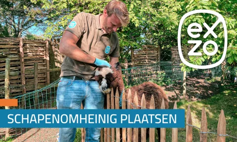 Handleiding | Schapenomheining plaatsen