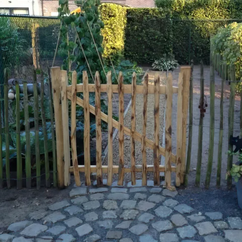 Kastanje