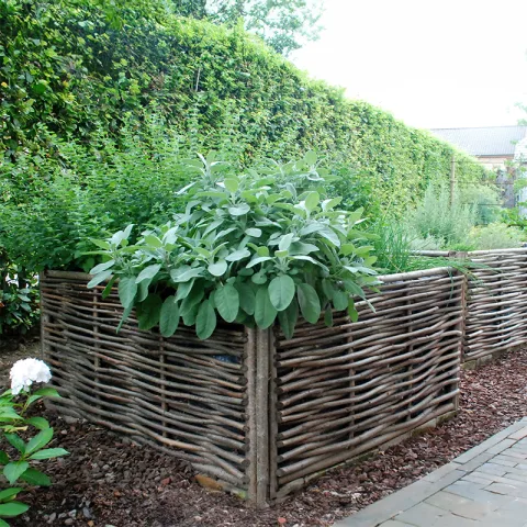 Hazelaar moestuinbak