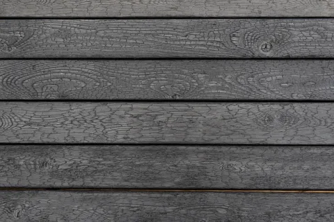 Plank "Sendai"