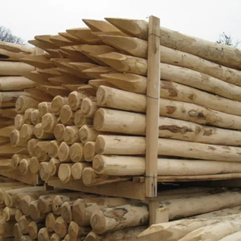 Robinia palen