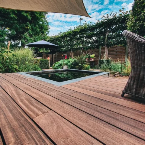 Terras