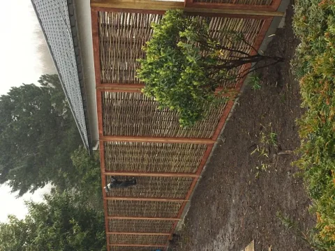Tuinscherm Wilgen - Grof in kader