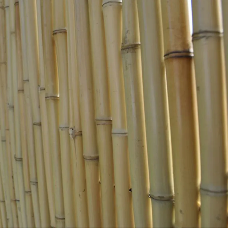 Bamboemat Rond - Naturel