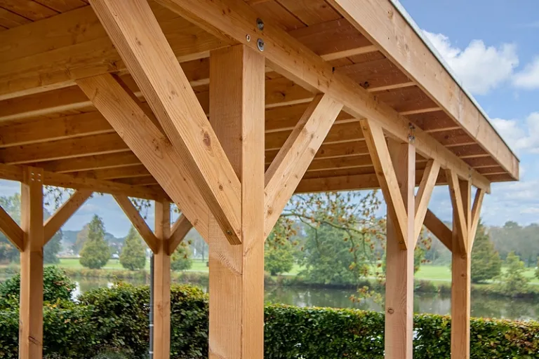 Carport 'Lemmer' - Douglas - 4,5 x 6 m