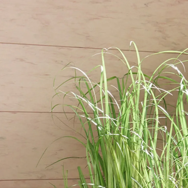 Composiet Tuinscherm 'Alu-Design' - Zand