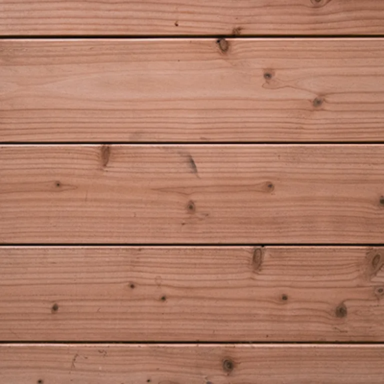 Red Class Wood planchet - tandgroef