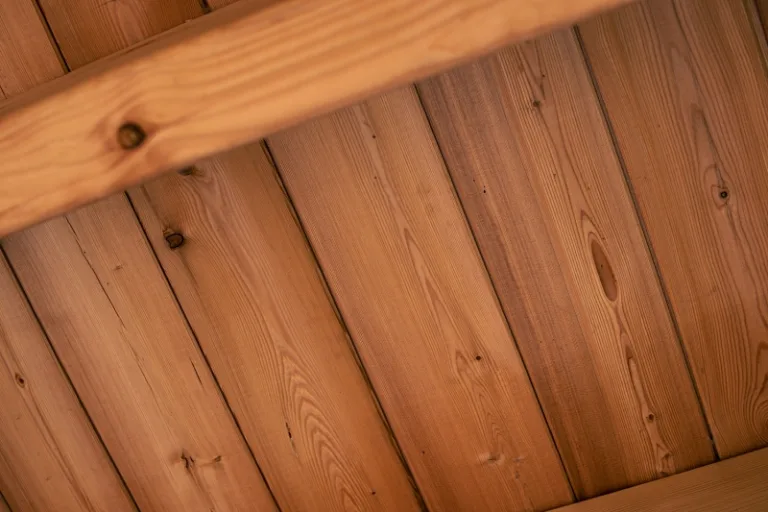 Red Class Wood planchet - tandgroef