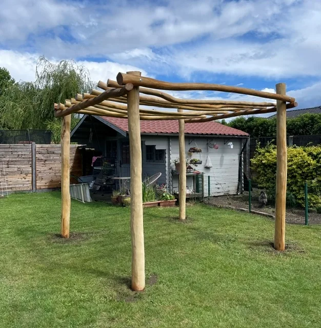 Robinia pergola ‘Gamay’ - 3 x 3 m