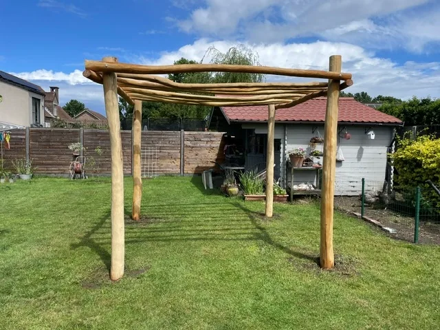Robinia pergola ‘Gamay’ - 3 x 3 m