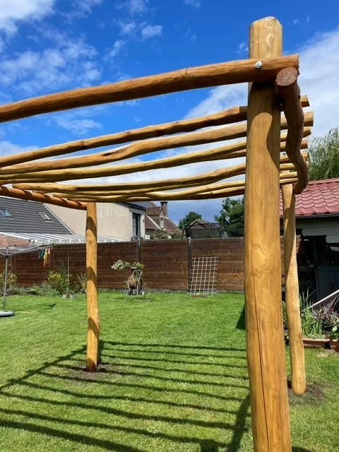 Robinia pergola ‘Gamay’ - 3 x 3 m