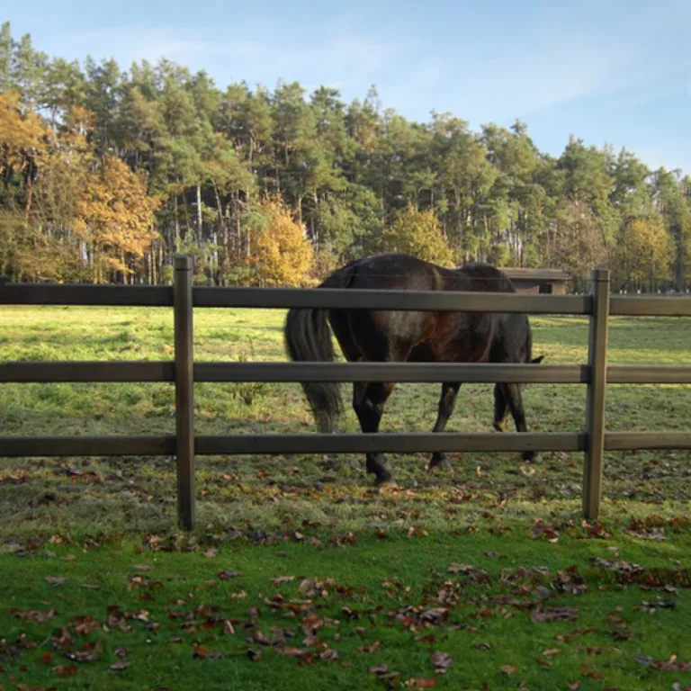 Hardhouten paardenomheining