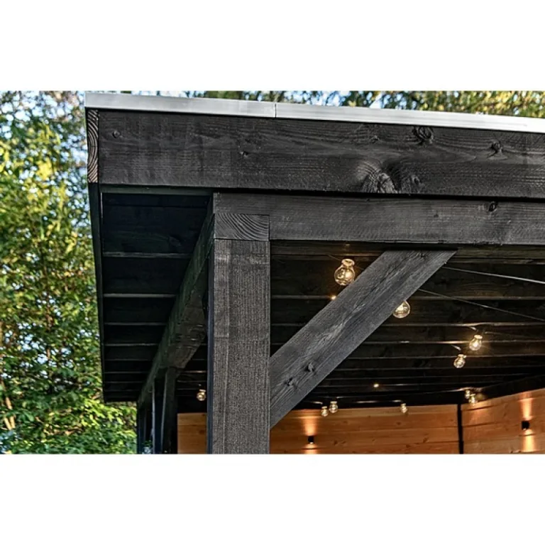 Douglas plank - zwart geïmpregneerd - 1,6 cm dik
