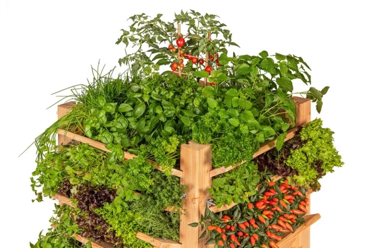 Multi planten/kruidenbak Lariks