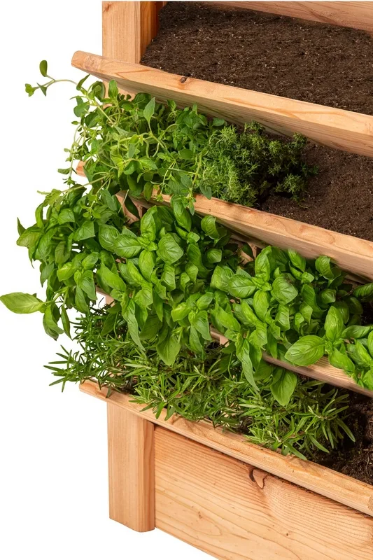 Multi planten/kruidenbak Lariks