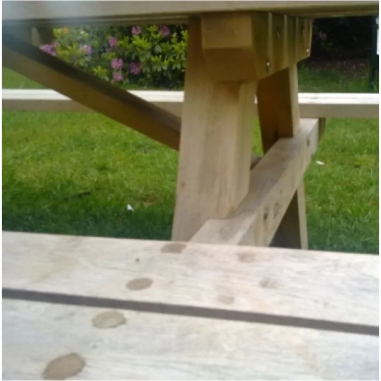 Picknickbank Bos - Eik/Robinia