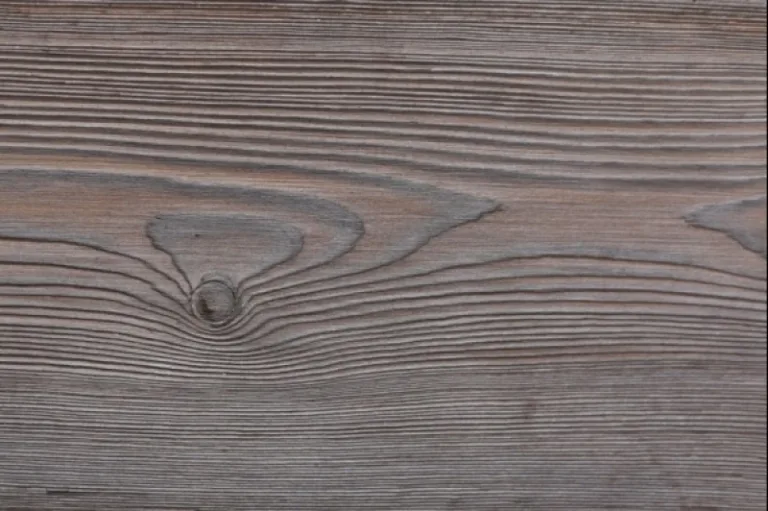 Plank "Kumamoto"