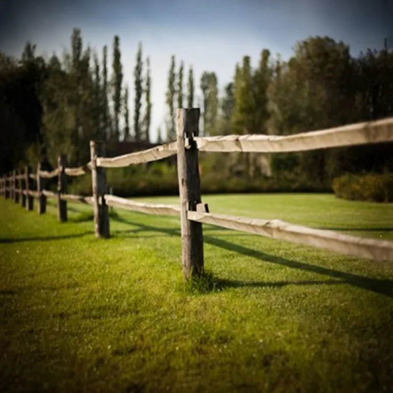 Robinia paardenomheining 'PostandRail' - gekloven