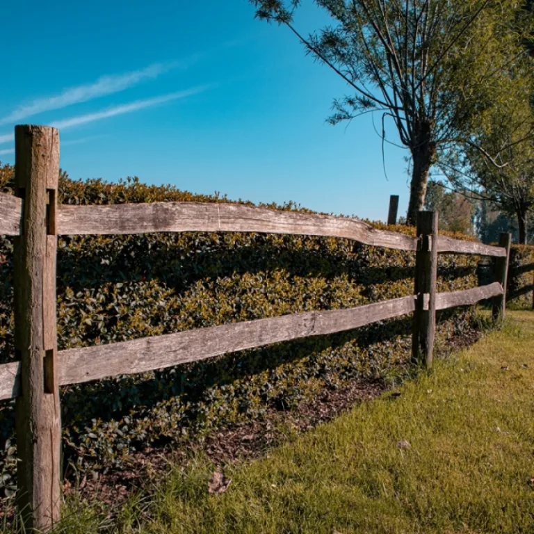 Robinia paardenomheining 'PostandRail' - gekloven