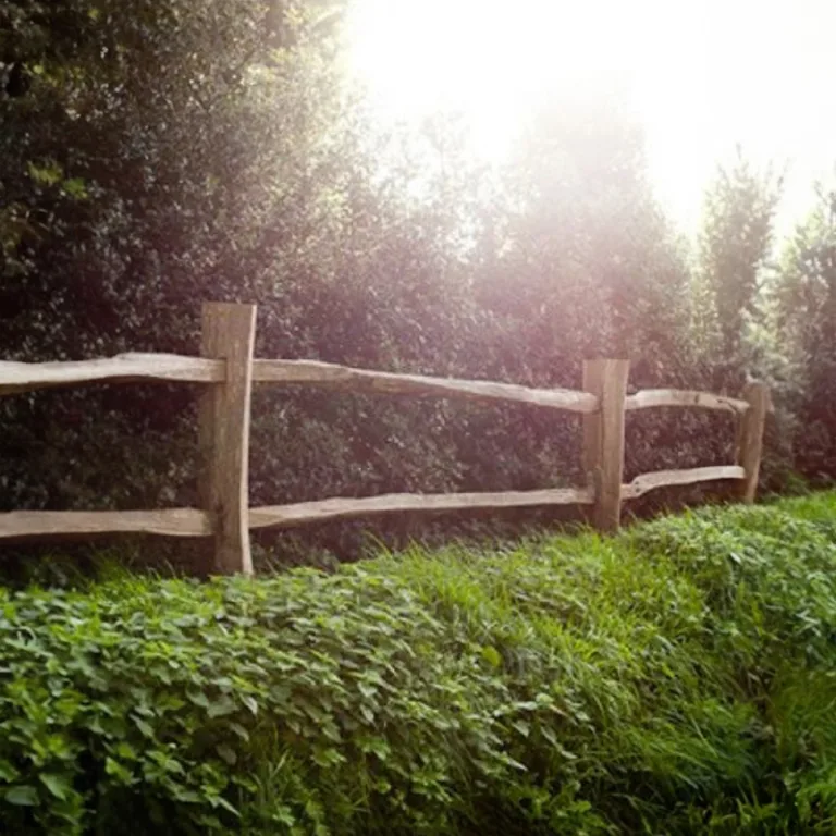 Robinia paardenomheining 'PostandRail' - gekloven
