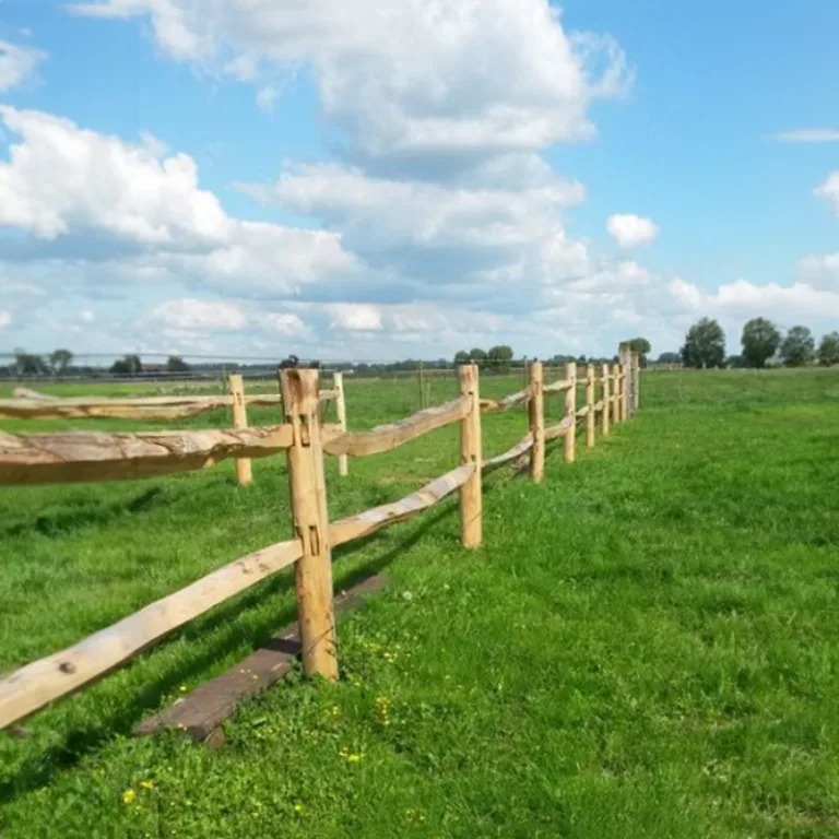 Robinia paardenomheining 'PostandRail' - gekloven