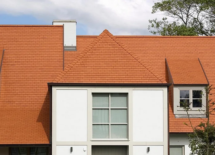 Tegelpan Pottelberg 301 - Natuurrood