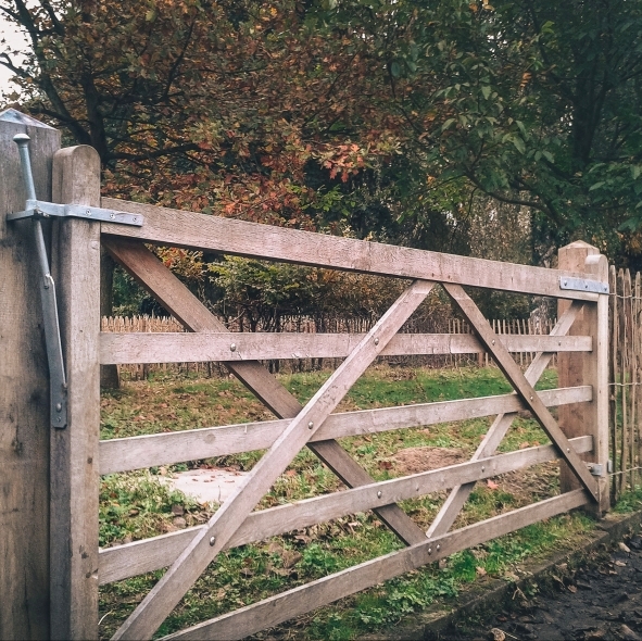 Engelse weidepoort - Eik