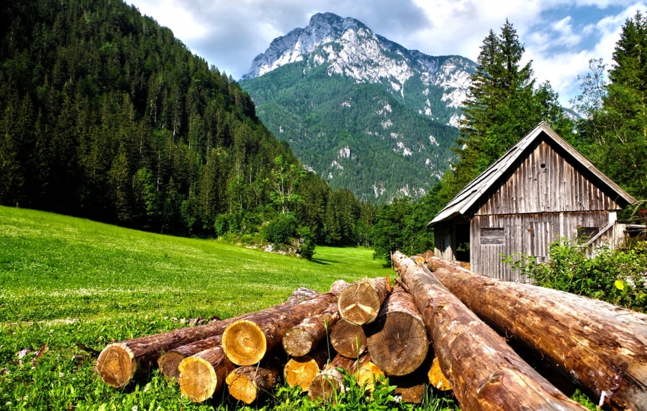 Wat is het verschil tussen geschaafd, geschuurd of fijnbezaagd hout?